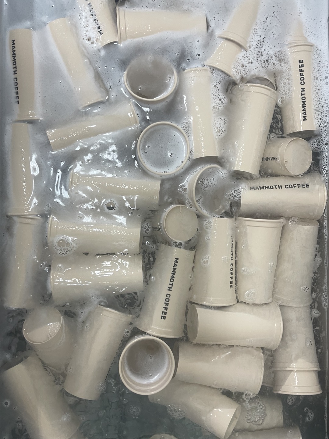 스테인리스 컵 구독 서비스 상세 이미지